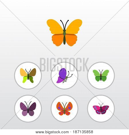 Flat Monarch Set Of Summer Insect, Violet Wing, Milkweed And Other Vector Objects. Also Includes Moth, Summer, Archippus Elements.