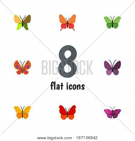 Flat Monarch Set Of Butterfly, Monarch, Archippus And Other Vector Objects. Also Includes Archippus, Monarch, Moth Elements.