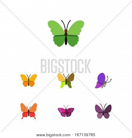 Flat Butterfly Set Of Danaus Plexippus, Archippus, Summer Insect And Other Vector Objects. Also Includes Summer, Archippus, Butterfly Elements.
