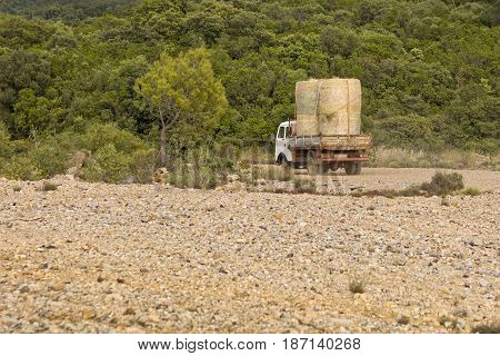 Old truck carries fodder rooftop in the countryside.