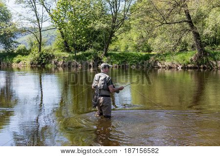 The fisherman walks in the river and flies on the Otava River. View from the rear of the fisherman. South Bohemia Czech republic.