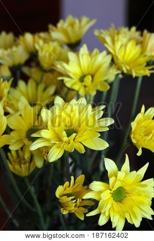 vase of beautiful pretty yellow daffodils on a table