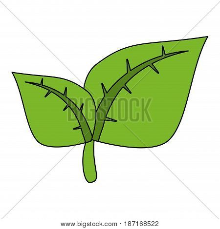 color image cartoon green leaves with ramifications vector illustration