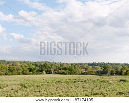 Open Farmland With Houses In The Distance Outside In The Country In Essex England Dedham In The Uk O