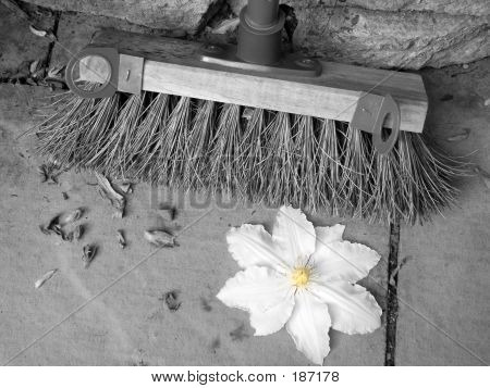 扫帚和花