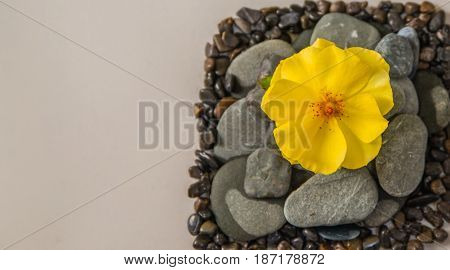 Stacked Rocks with a flower on top