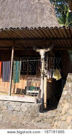 Cow skull house of Bena a traditional village with grass huts of the Ngada people in Flores near Bajawa Indonesia.