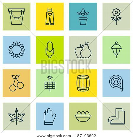 Set Of 16 Plant Icons. Includes Fruits, Maize, Decorative Plant And Other Symbols. Beautiful Design Elements.
