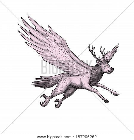 Tattoo style illustration of a Peryton a Medieval European mythical creature with head forelegs and antlers of a full-grown stag with the wings plumage and hindquarters of a bird viewed from the side set on isolated white background.