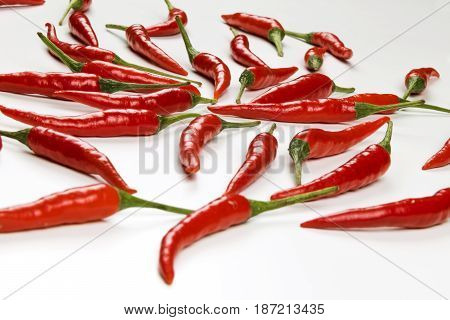 Fresh pods of red chili peppers on white background close up