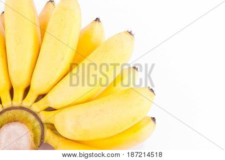 organic hand of golden bananas   on white background healthy Pisang Mas Banana fruit food isolated