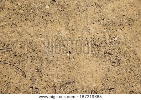 Limestone soil of the Negev desert (Israel)
