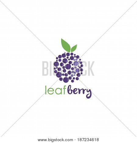 Blueberry Logo Template Illustration Vector Art Design