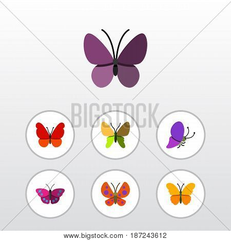 Flat Butterfly Set Of Archippus, Violet Wing, Summer Insect And Other Vector Objects. Also Includes Moth, Milkweed, Monarch Elements.