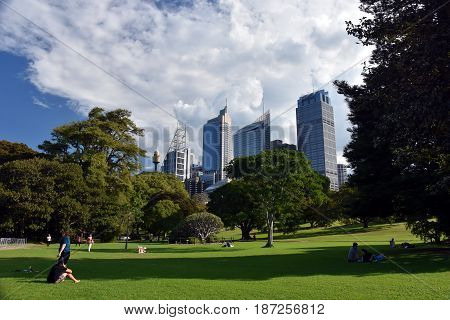 Sydney Australia - Apr 23 2017. View of Sydney's skyline from Royal Botanic Garden.