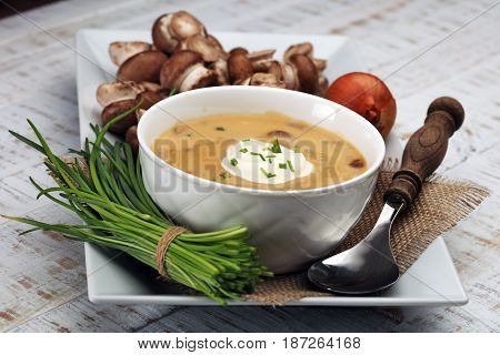 Creamy Mushroom Soup on white wooden background