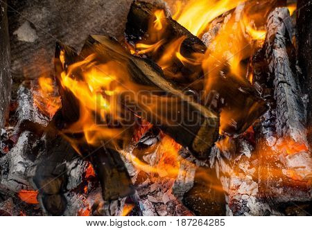 Fire flames background. Firewood is burning in the grill in the open air.