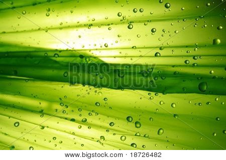 anderen grün hintergrund mit Wasser Tropfen