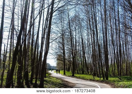Riga bicycle path through the park in the direction of Jurmala