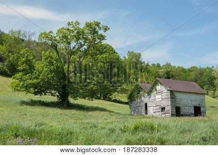 Abandoned Building