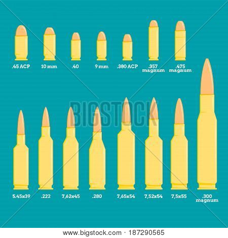 Different types of pistol and rifle bullets with description on blue background. EPS10