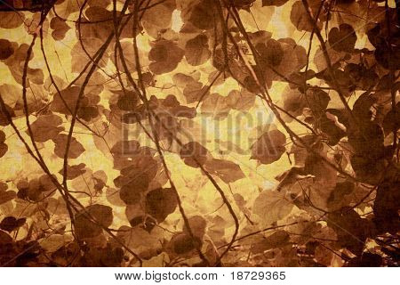 fundo de grunge vintage stile