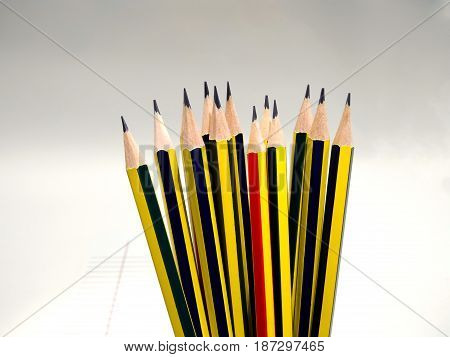 Group of Sharpened Pencil Ready for Use
