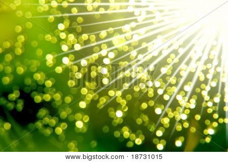 กลิทเทอร์สีเขียวประกอบพื้นหลังฝุ่น