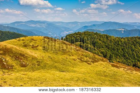 Carpathian Mountain Range In Late Summer