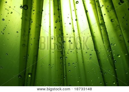 Tropfen mit grünem Hintergrund