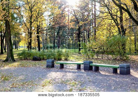 Benches in the autumn park of Sosnovka, St. Petersburg. Soft focus