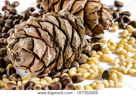 Pile of pine nuts and pine cone isolated on white background.