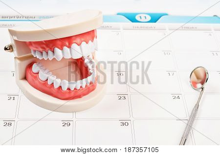 Calendar page and Dentist mirror tool and dentist demonstration teeth model.