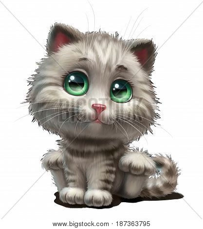 Gray kitten with green eyes, sits, without background