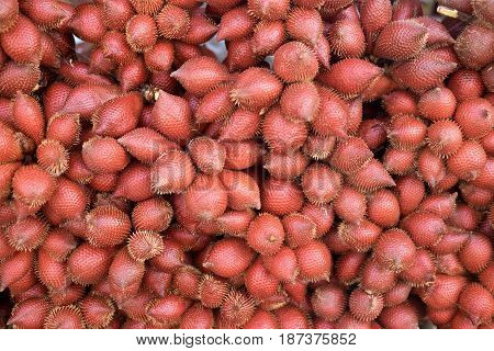 Sala tropical fruit or Zalacca from Thailand fruit background