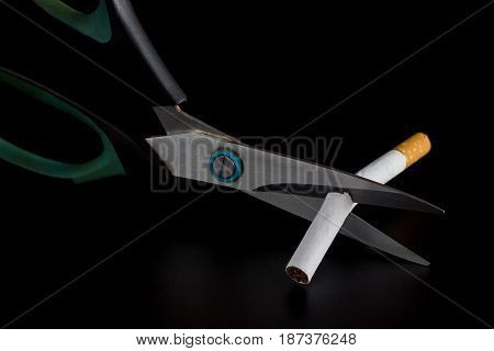 Anti Tobacco, Cigarette were scissors cut off on dark background.