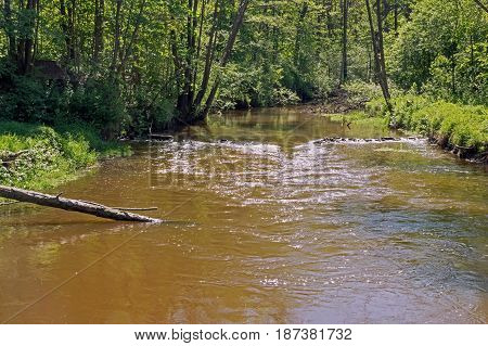 The photo shows a small, narrow river. The river is unregulated. Water has brown coloration. The banks of the river are grass and deciduous forest. It is sunny day.