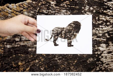 Hand Hold Lion Paper Carving with Wooden Background
