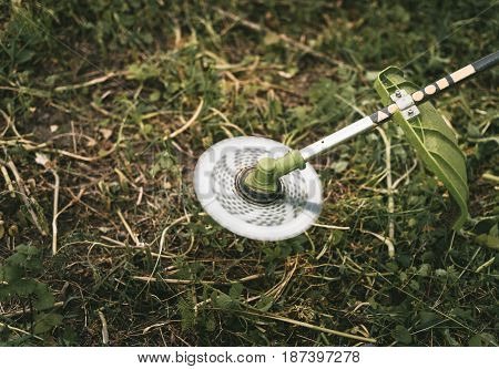 Gasoline Trimmer Head On Green Grass. Round Trimmer Blade.