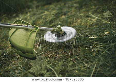 Gasoline Trimmer Head On Green Grass. Round Trimmer Blade.