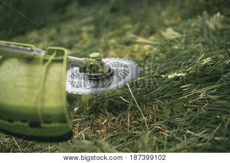 Gasoline Trimmer Head On Green Grass. Round Trimmer Blade.