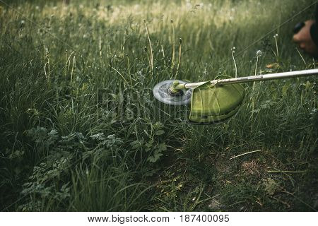 Gasoline Trimmer Head On Green Grass. Round Trimmer Blade.