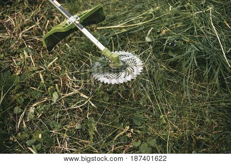Gasoline Trimmer Head On Green Grass. Round Trimmer Blade.