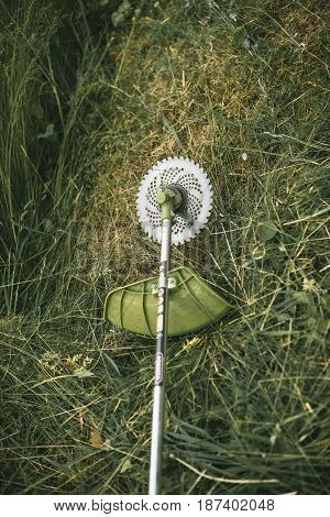 Gasoline Trimmer Head On Green Grass. Round Trimmer Blade.