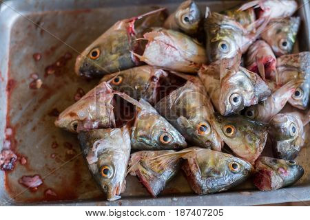Heads of fish in a cup carp fish heads for fish soup.