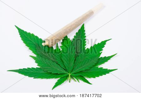 Medical Marijuana.