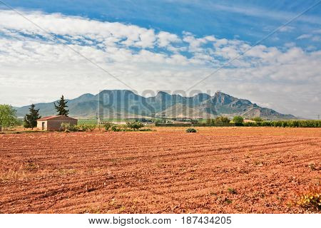 Agricultural field on mountains bsckground. Valencia. Spain