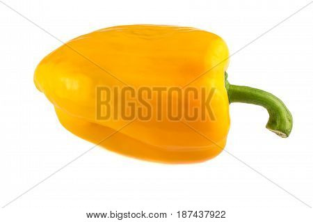 Isolated Pepper. One Yellow Bell Pepper Isolated On White Background