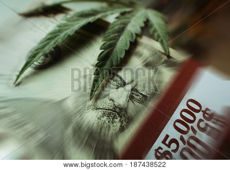 Marijuana Profits Zoom Burst High Quality Stock Photo