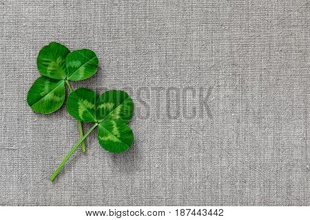 Green Leaves Of Clover On The Background Of Linen Cloth.